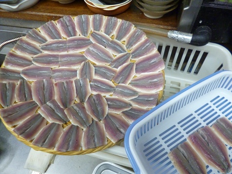 いわし 003.jpg