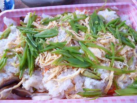 おはなみ 010.JPG