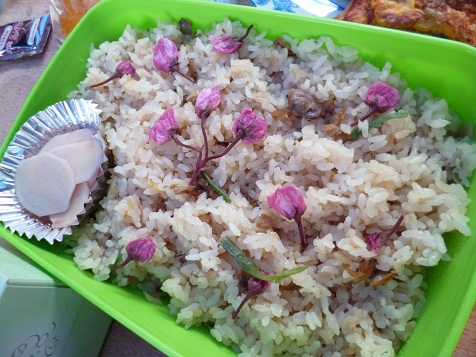 おはなみ 014.JPG