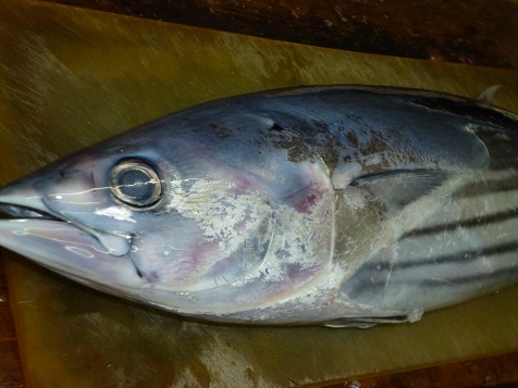 ごがつ３１日 011.JPG