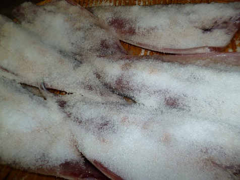 ろくがつ２８ 002.JPG