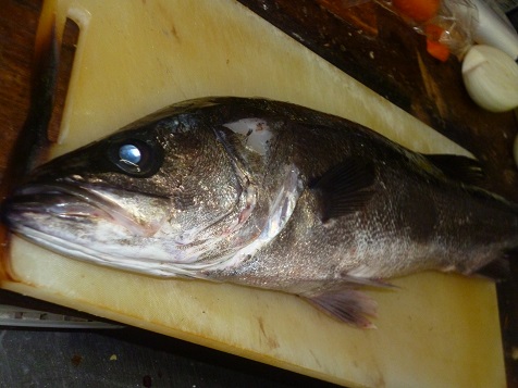 ろくがつ２８ 005.JPG