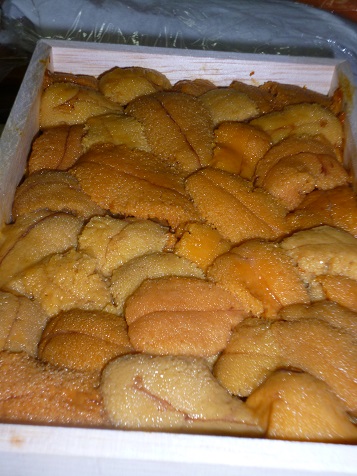 ろくがつ２８ 007.JPG