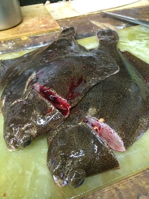 ケイタイ画像 007.JPG