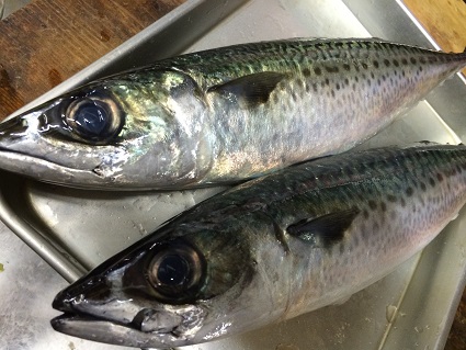 ケイタイ画像 048.JPG