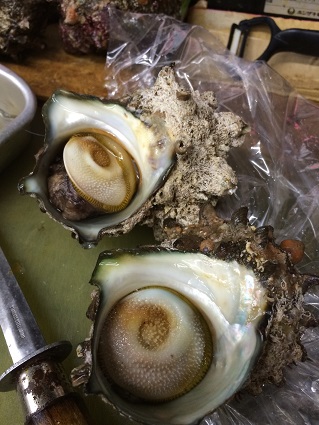 ケイタイ画像 049.JPG