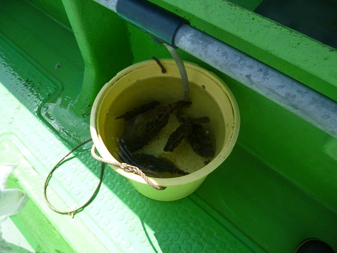 竹岡１０　９ 007.JPG