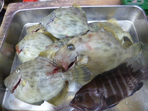 竹岡１０　９ 011.JPG