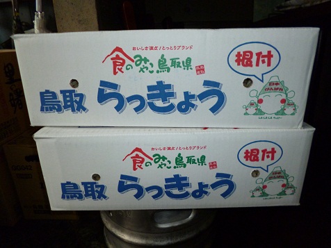 ６月１１日 002.jpg