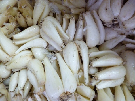 ６月１１日 003.jpg