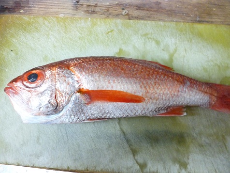 5月２６日 003.jpg