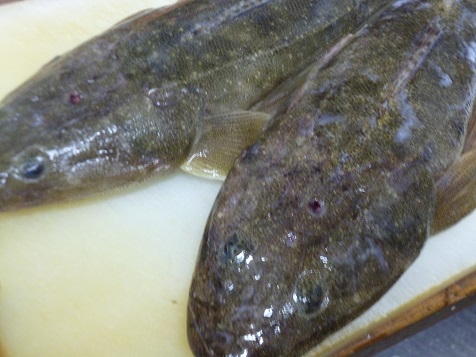 gogatunizyuuyonn 002.JPG