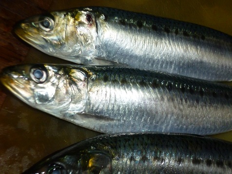 zyuugosyuunenn 003.JPG