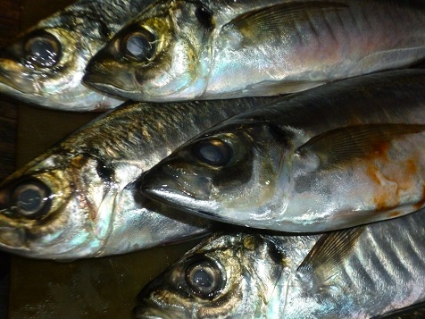 zyuugosyuunenn 004.JPG